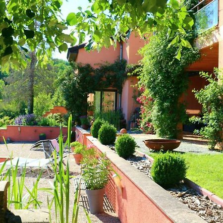 Domaine Les Causeries Laguepie Экстерьер фото