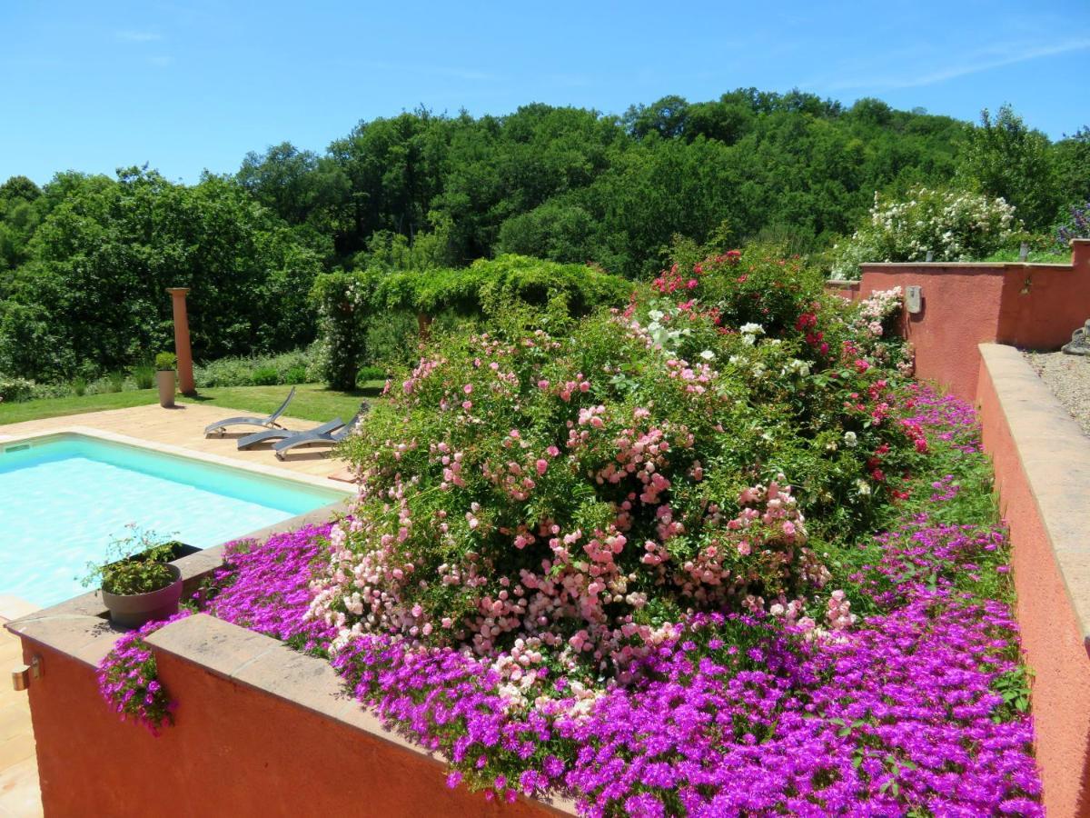 Domaine Les Causeries Laguepie Экстерьер фото