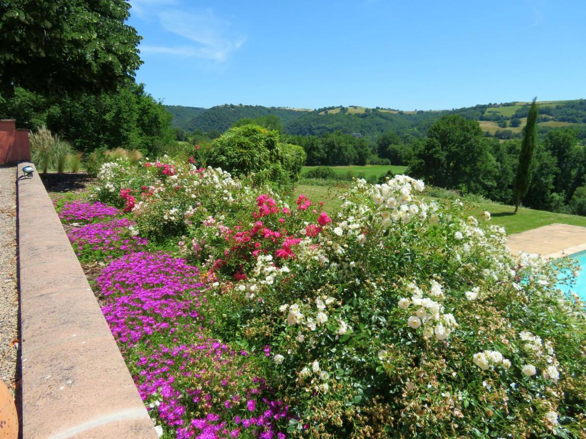 Domaine Les Causeries Laguepie Экстерьер фото