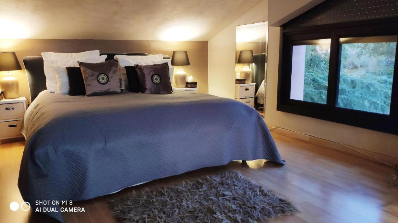 Domaine Les Causeries Laguepie Экстерьер фото