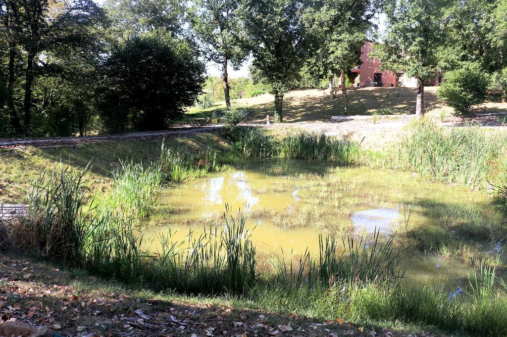 Domaine Les Causeries Laguepie Экстерьер фото